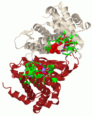 Image Biol.Unit 1 - manually