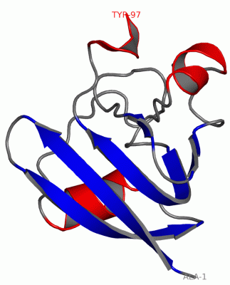 Image NMR Structure - manually