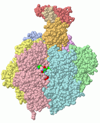 Image Asym./Biol. Unit - manually