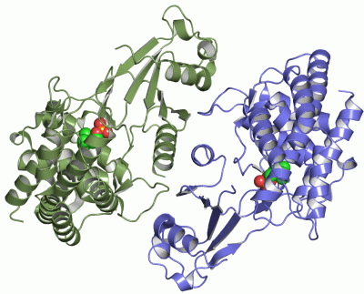 Image Asym./Biol. Unit - manually