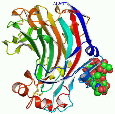 Image Asym./Biol. Unit - manually