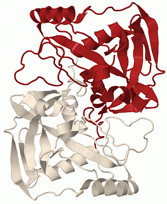 Image Biol.Unit 1 - manually