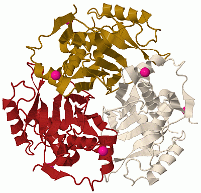 Image Biol.Unit 1 - manually