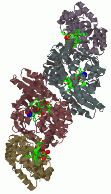 Image Biol.Unit 1 - manually