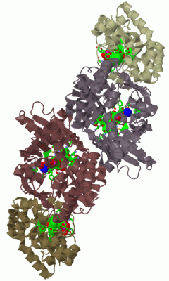 Image Biol.Unit 1 - manually