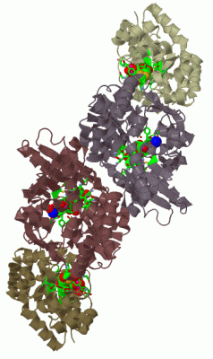 Image Biol.Unit 1 - manually