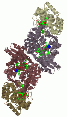 Image Biol.Unit 1 - manually