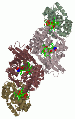 Image Biol.Unit 1 - manually