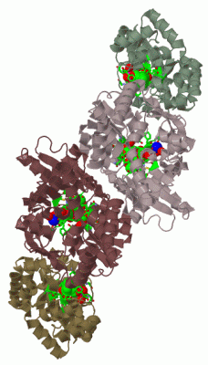 Image Biol.Unit 1 - manually