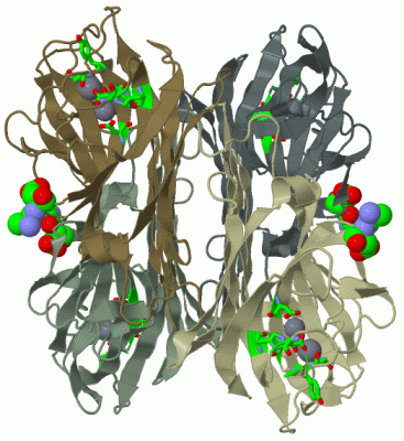 Image Biol.Unit 1 - manually