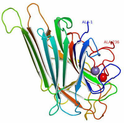 Image Asym.Unit - manually