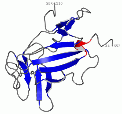 Image NMR Structure - manually