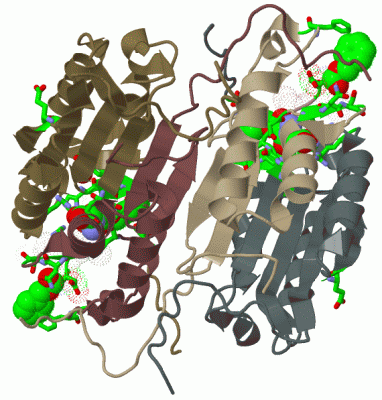 Image Biol.Unit 1 - manually