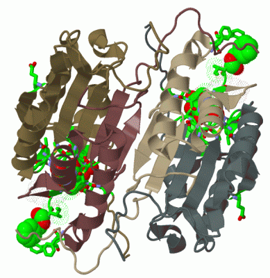 Image Biol.Unit 1 - manually