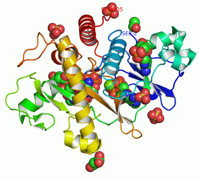 Image Asym./Biol. Unit - manually