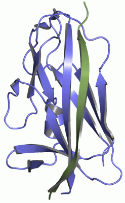 Image Asym./Biol. Unit - manually