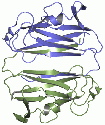 Image Asym./Biol. Unit - manually