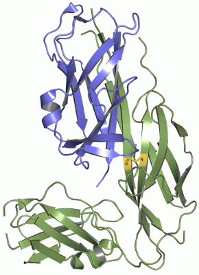 Image Asym./Biol. Unit - manually