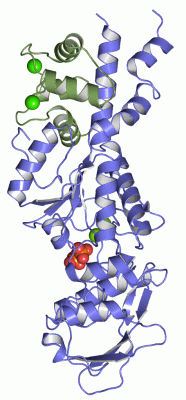 Image Asym./Biol. Unit - manually