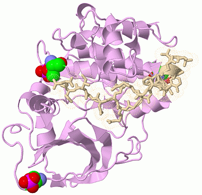 Image Asym./Biol. Unit - manually
