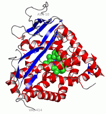 Image Asym./Biol. Unit - manually