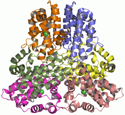 Image Asym./Biol. Unit - manually