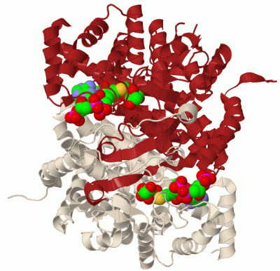 Image Biol.Unit 1 - manually