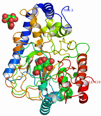 Image Asym./Biol. Unit - manually