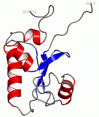 Image NMR Structure - manually