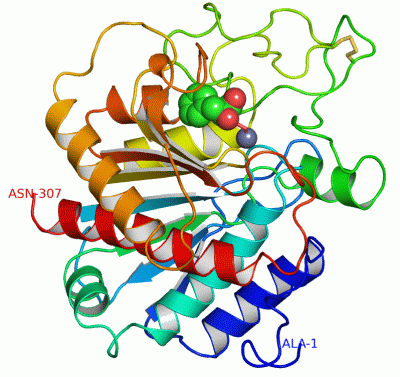 Image Asym./Biol. Unit - manually