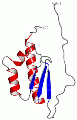 Image NMR Structure - manually