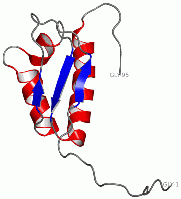 Image NMR Structure - manually