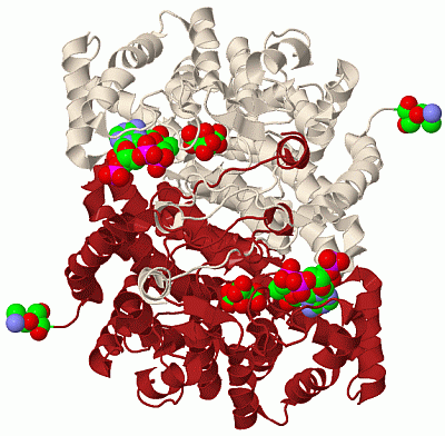 Image Biol.Unit 1 - manually