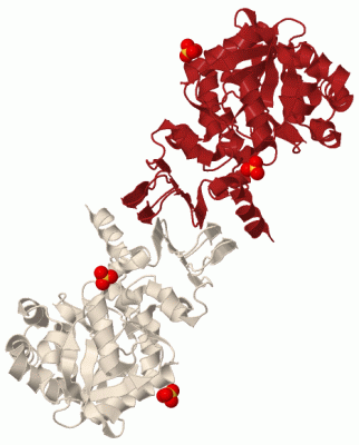 Image Biol.Unit 1 - manually