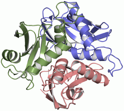 Image Asym./Biol. Unit - manually
