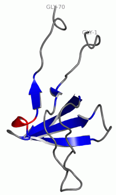 Image NMR Structure - manually