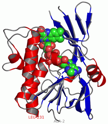 Image Asym./Biol. Unit - manually