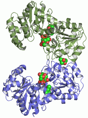 Image Asym./Biol. Unit - manually