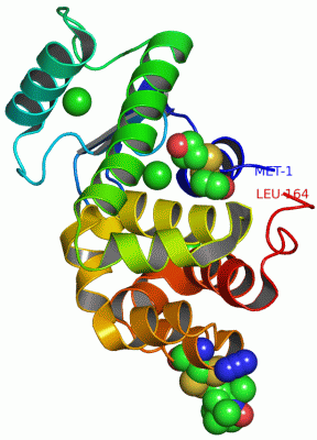 Image Asym./Biol. Unit - manually