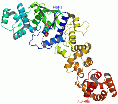 Image Asym./Biol. Unit - manually