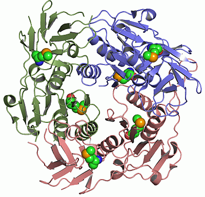 Image Asym./Biol. Unit - manually
