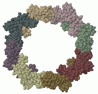 Image Biol.Unit 1 - manually