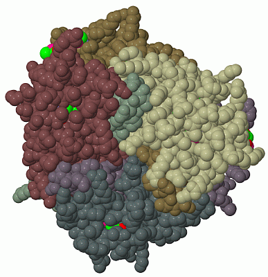 Image Biol.Unit 1 - manually