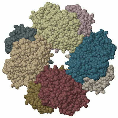 Image Biol.Unit 1 - manually