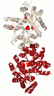 Image Biol.Unit 1 - manually