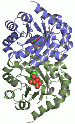 Image Asym./Biol. Unit - manually