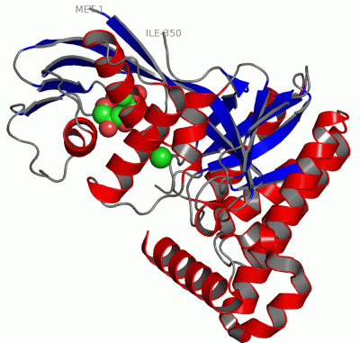 Image Asym./Biol. Unit - manually