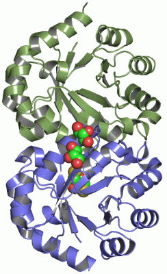 Image Asym./Biol. Unit - manually