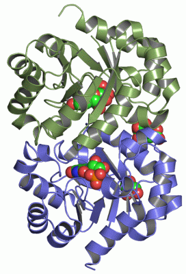 Image Asym./Biol. Unit - manually