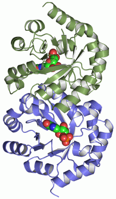 Image Asym./Biol. Unit - manually